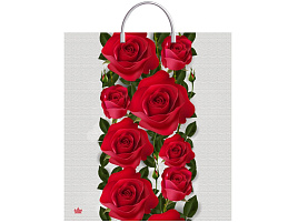 Пакет петля с пласт.ручкой 40*44 Волшебные розы