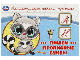 Книга КАЛЛИГРАФИЧЕСКАЯ ПРОПИСЬ 9271-1 Пишем прописные буквы