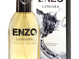 Туалетная вода мужская Enzo Langara 95мл.