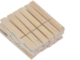 Прищепки деревянные 12шт Рыжий кот 311378