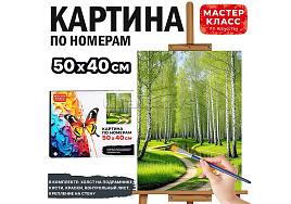 Картина для раскрашивания 40*50 MKR5040-86 Березовая роща, по номерам