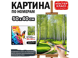 Картина для раскрашивания 40*50 MKR5040-86 Березовая роща, по номерам