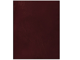 Тетрадь 96л. бумвинил Т5бв96к_12329 офсет, бордовый