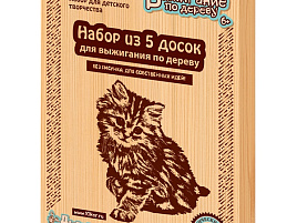 Выжигание в рамке 01731 Без рисунка (5 шт)