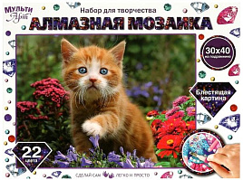 Алмазная мозаика 30*40 AM30X40-CATANATUR Рыжий котенок на подрамнике