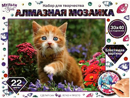 Алмазная мозаика 30*40 AM30X40-CATANATUR Рыжий котенок на подрамнике