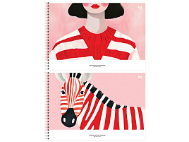 Альбом для рисования 48л. BG АР4гр48 08656 "В красную полоску"