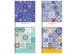 Тетрадь 48л. на спирали  Т5гр48 63523 "Коллекция", эконом