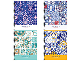 Тетрадь 48л. на спирали  Т5гр48 63523 "Коллекция", эконом