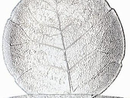 Тарелка мелкая 19см 10274 АСПЕН