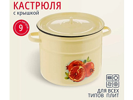 Кастрюля эмаль 9л 1с200с декор индукция