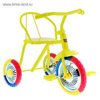 Велосипед детский TR-313 ТИП-ТОП цвет в ассорт.