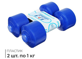 Гантели пластмассовые 478273/0512 1000г (2х штучные)