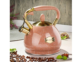 Чайник нержавейка 3л GS-04517H-2/8079 Даникс со свистком