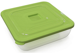 Контейнер для продуктов 0,5л Практик С892