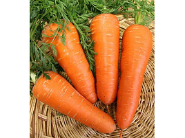 Семена Морковь Шантане Роял 2г б/п ВХ 1848