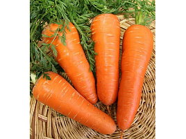 Семена Морковь Шантане Роял 2г б/п ВХ 1848