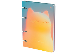 Тетрадь на кольцах 120л. ТК5к120_лс 57855 "Meow", картон, soft-touch ламинация