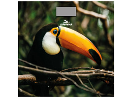 Весы напольные Добрыня DO-3006H Тукан 180кг