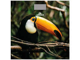 Весы напольные Добрыня DO-3006H Тукан 180кг