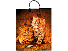 Пакет петля с пласт.ручкой 40*44 Бебикетс