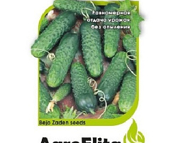 Семена Огурец Артист F1 5шт АЭ 9504