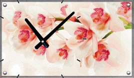 Часы настенные Сюжет 35*60 Л1185