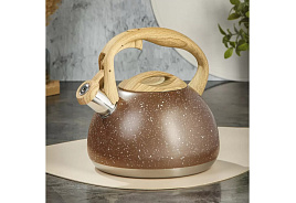 Чайник нержавейка 2,7л GS-04049H-2/6618 Даникс со свистком