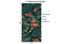 Конверт для денег 9143 С днем рождения