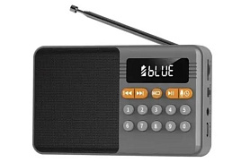 Радиоприемник PERFEO PF-D0576 Турист серый