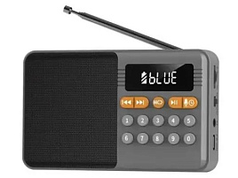 Радиоприемник PERFEO PF-D0576 Турист серый