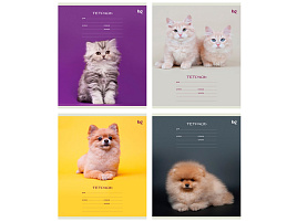 Тетрадь 12л. клетка  Т5ск12 47265 "Котики"