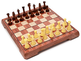 Шахматы 10643406