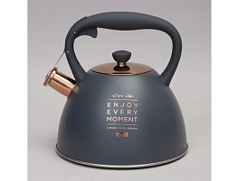 Чайник нержавейка 3л 914-156/1564 Agness со свистком индукция