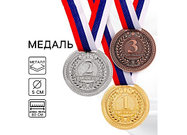 Медаль 1652997 3 место