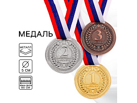 Медаль 1652997 3 место