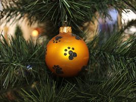 Шар 65 Лапки КР-65-214058