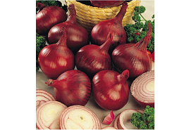 Семена Лук реп. Кармен МС 0,5г б/п А 4964