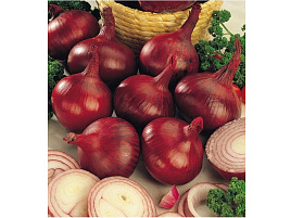 Семена Лук реп. Кармен МС 0,5г б/п А 4964