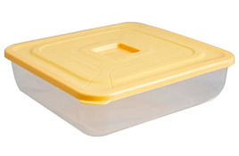 Контейнер для продуктов 0,2л Квадро 888