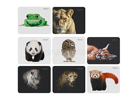 Коврик для мыши Defender 50803 Wild Animals 220*180*2мм 8видов