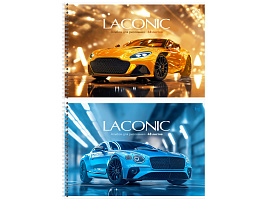 Альбом для рисования 48л. BG АР4гр48_вл 08650 "Laconic", выб. лак, на спирали