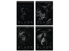 Блокнот 40л. BG Б5гр40 07048 "Just black", А5 на гребне
