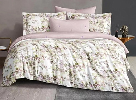 Постельное 2сп Silvano 22/036-SLC/SLV/3747 сатин