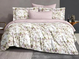 Постельное 2сп Silvano 22/036-SLC/SLV/3747 сатин