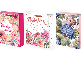 Упаковочная сумочка 18*23 Ч53287 Женская микс