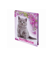 Блокнот 80л. BRAUBERG 122192 "Котята", А6, ламинированная обложка, выборочный лак, клетка