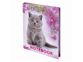 Блокнот 80л. BRAUBERG 122192 "Котята", А6, ламинированная обложка, выборочный лак, клетка