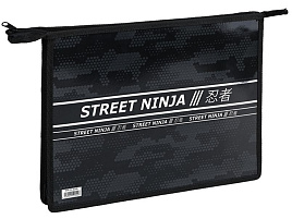 Папка для труда А4 ArtSpace ПТР-22_42245 "Ninja", 2 отделения пластик, фольга, на молнии