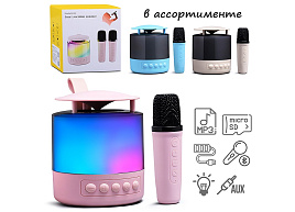 Караоке-центр K19 Музыкальные ноты